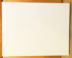 Picture of blank canvas.