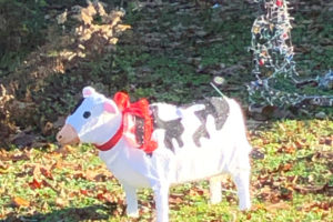 Whimsical Christmas Cow for We Need a Little Christmas post.