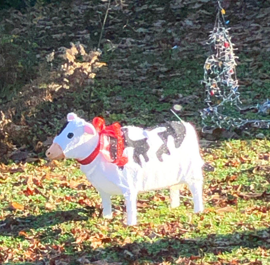 Whimsical Christmas Cow for We Need a Little Christmas post.