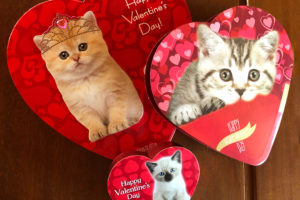 Valentine's Day candy boxes for the Top Ten Love Songs post.