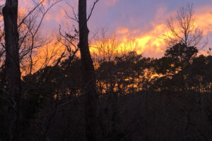 Images of Thanksgiving. A photo of the evening sky.