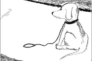 Line drawing of dog sitting in the road for A Reflection post.