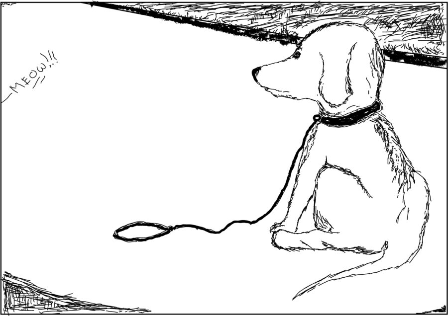 Line drawing of dog sitting in the road for A Reflection post.