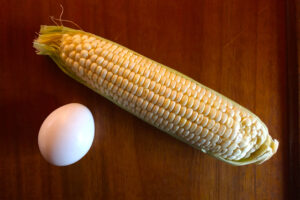 Picture of an egg and ear of corn for the Escape Goat post.