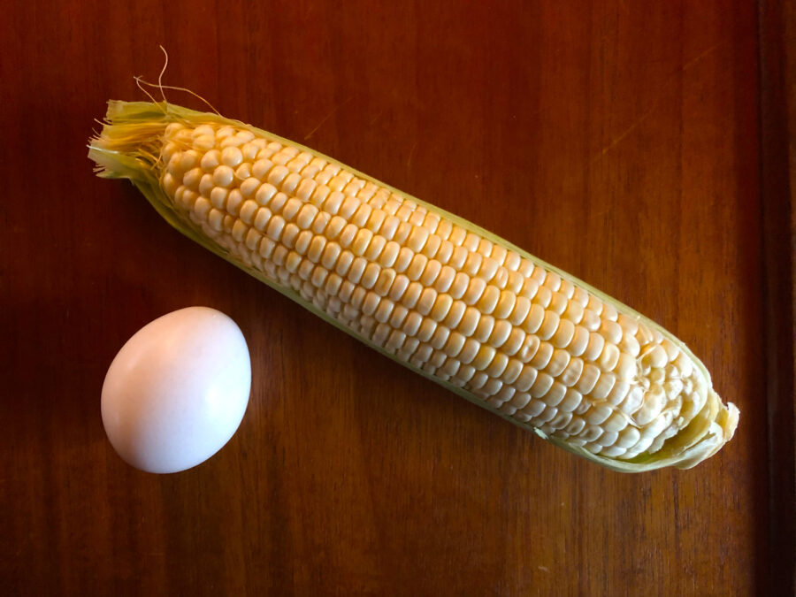 Picture of an egg and ear of corn for the Escape Goat post.