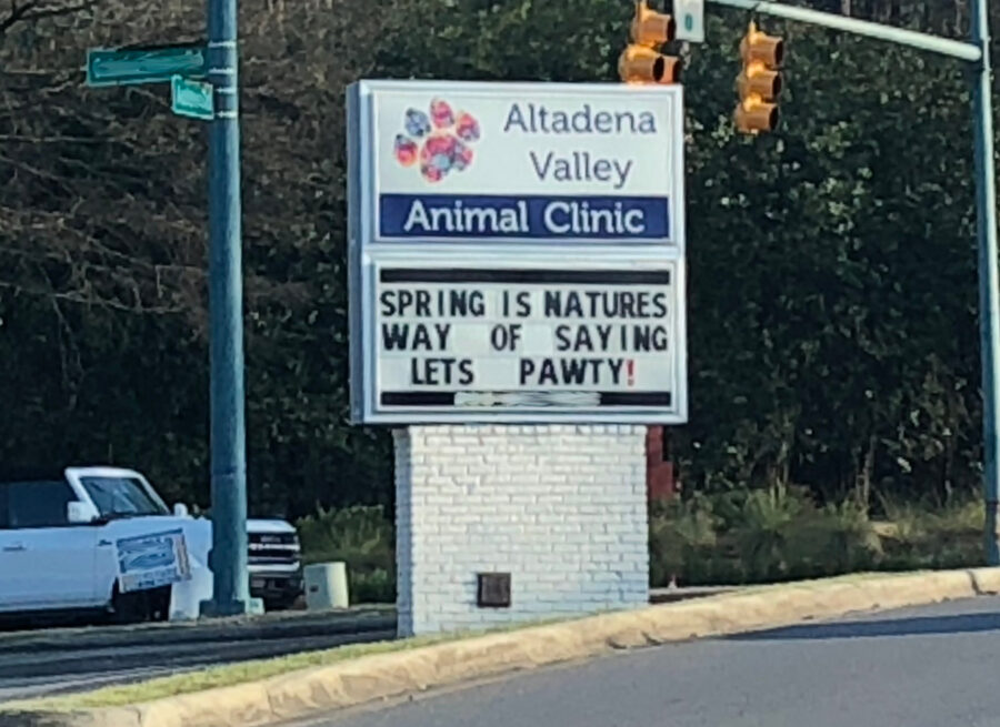 Sign for an Animal Clinic.
