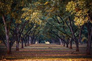 Orderly and Peaceful