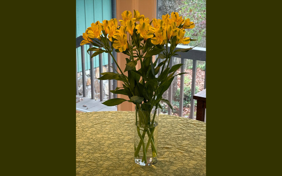 a photo of a vase of flowers.